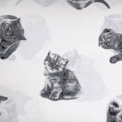 Котята-серые