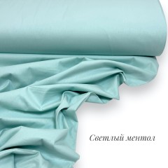Однотонный светлый ментол