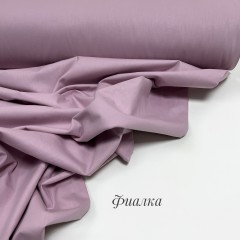 Однотонный фиалка