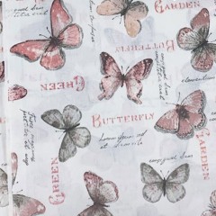 бабочки (7)