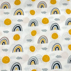 радуга (9)