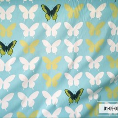 бабочки (5)